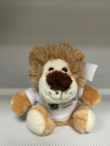 Peluche Leoncino - Teddy Bear Lion