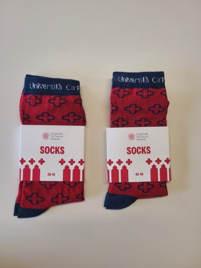 Calzini Ca'Foscari - Ca'Foscari socks